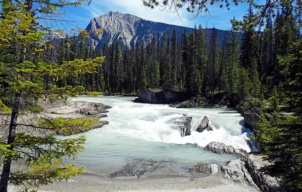 Natural Bridge Yoho Nationalpark British Columbia Kanada — Stockfoto