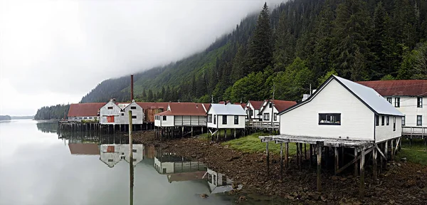 Kuzey Pasifik Konserve Fabrikası Prens Rupert Ngiliz Kolombiyası Kanada — Stok fotoğraf