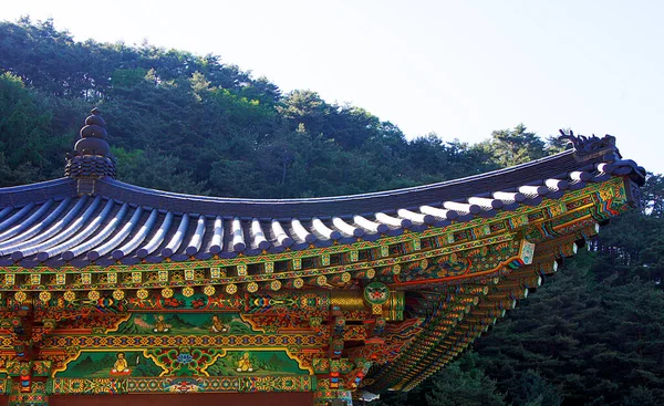 Guinsa Chrámy Architektura Danyang Jižní Korea — Stock fotografie