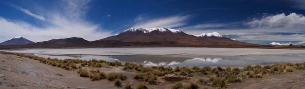 Andenlandschaft Hedionda See Bolivien — Stockfoto