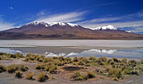 Андійський Пейзаж Hedionda Lake Bolivia — стокове фото