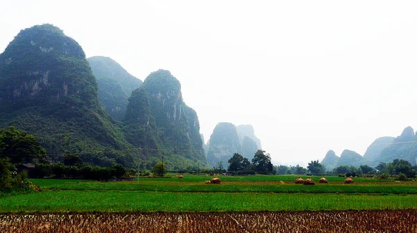 Krajiny Rýžových Polí Tam Coc Vietnam — Stock fotografie