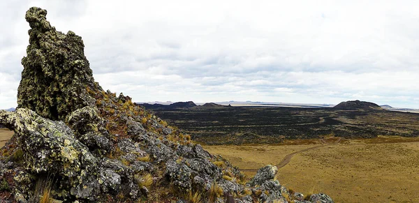 Pali Aike Nemzeti Park Táj Patagónia Chile — Stock Fotó