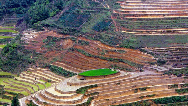 Paisaje Terrazas Arroz Sapa Vietnam — Stok Foto