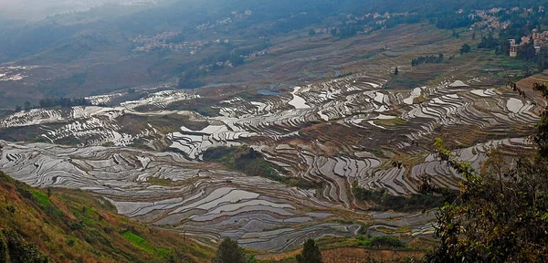 Paisaje Terrazas Arroz Yuanyuang Yunnan China — Stok Foto