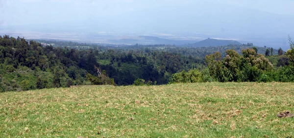 Vista Del Parque Nacional Aberdare Kenya — Stok fotoğraf