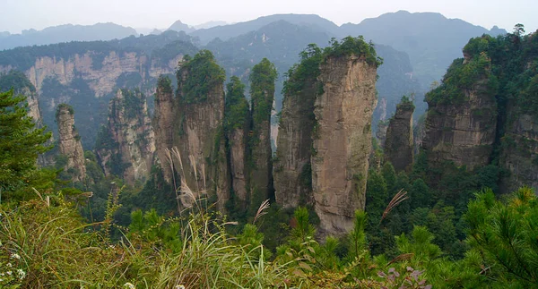 Zhangjiajie National Forest Park Huang Shi Zhai Hunan China — Stockfoto