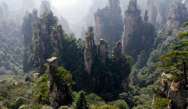 Parque Florestal Nacional Zhangjiajie Huang Shi Zhai Hunan China — Fotografia de Stock