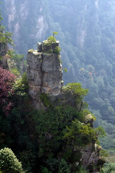 Parque Florestal Nacional Zhangjiajie Yuangjiajie Tianzishan Hunan China — Fotografia de Stock