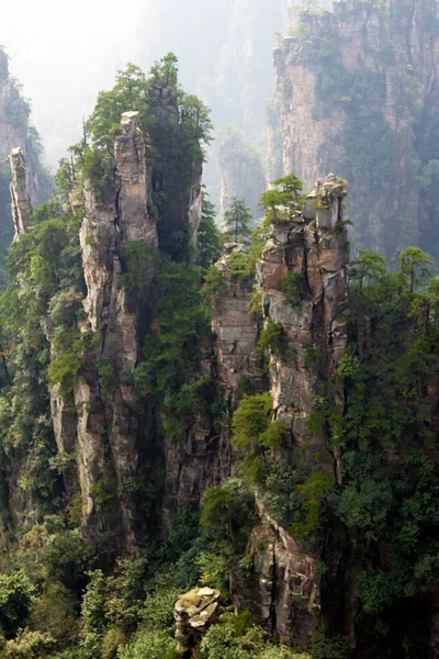 Parque Forestal Nacional Zhangjiajie Yuangjiajie Tianzishan Hunan China —  Fotos de Stock