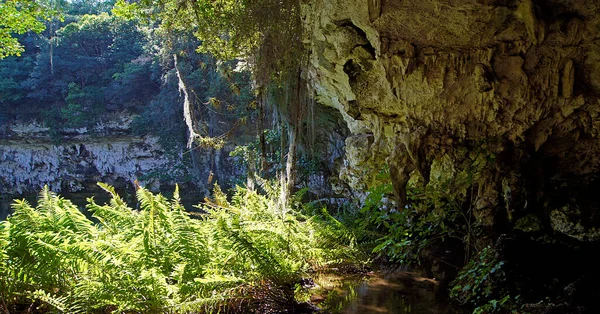 Национальный Парк Трес Охос Санто Доминго Доминиканская Республика — стоковое фото