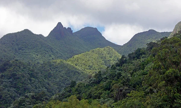 Yunque Peak Yunque National Park Puerto Rico — стоковое фото