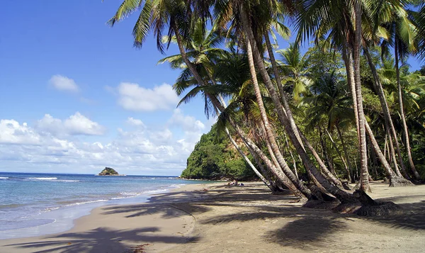Panorâmica Praia Batibou Ilha Dominica — Fotografia de Stock