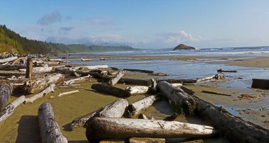 Sahil, Pasifik Kıyısı Nat. Park, Tofino İngiliz Kolombiyası - Kanada