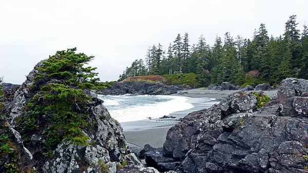 太平洋沿岸的海滩 Park Tofino British Columbia Canada — 图库照片