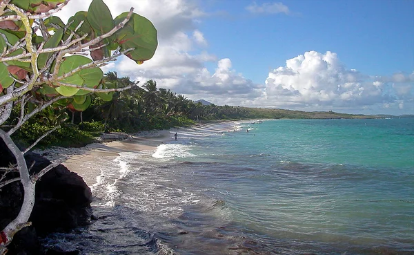 Pointe Macre Martinique Eiland Frankrijk — Stockfoto