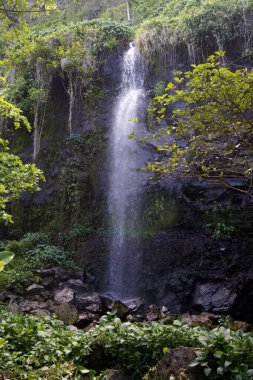 Anse de Cascades, Saint Roses, Reunion Adası - Fransa