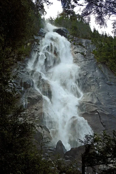 Shannon Falls Whistler British Columbia Kanada — Stock fotografie
