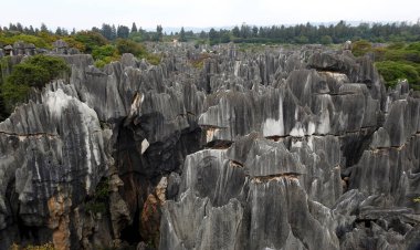 Taş Ormanı, Yunnan - Çin