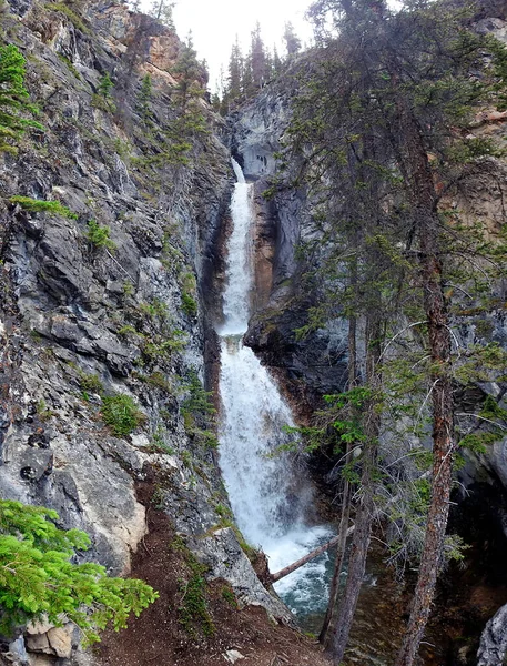 Silverton Falls Banff Alberta Canada — Foto Stock
