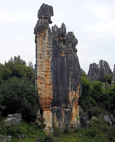 Kamienny Las Yunnan Chiny — Zdjęcie stockowe