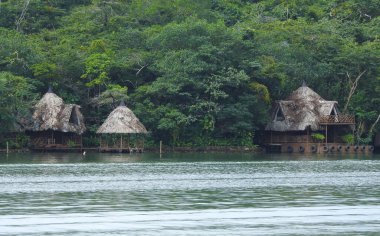 Rio Dulce kıyısı - Guatemala