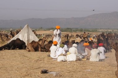 Pushkar Deve Fuarı, Rajasthan - Hindistan