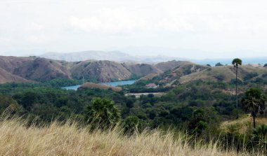 Rinca Adası Panoramisi - Endonezya