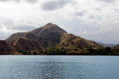 Rinca Adası Panoramisi - Endonezya