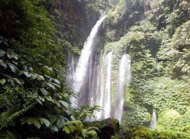 Hava Terjun Tiu Kelep Şelalesi, Lombok Adası - Endonezya