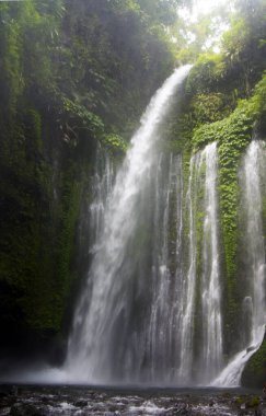 Hava Terjun Tiu Kelep Şelalesi, Lombok Adası - Endonezya