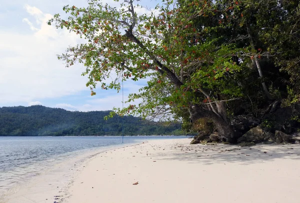 Frewen Adası Plaj Raja Ampat Güney Batı Papua Endonezya — Stok fotoğraf