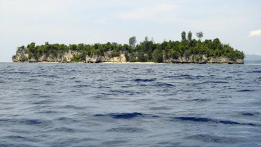 Yenbuba Adası, Raja Ampat, Güneybatı Papua - Endonezya