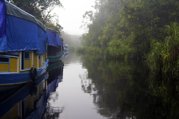 Klotok Tekne Gezisi Tanjung Puting Ulusal Parkı Borneo Adası Endonezya — Stok fotoğraf