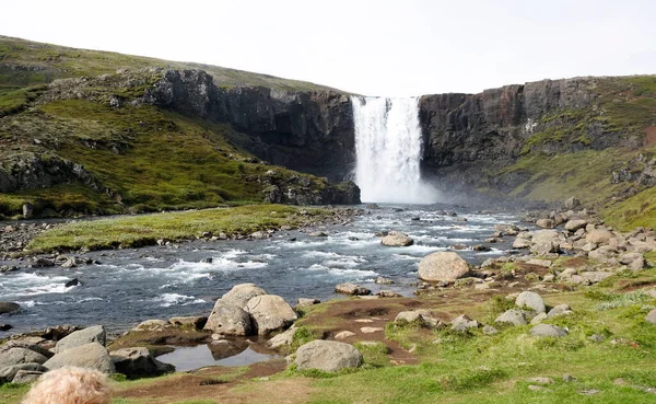 Wasserfall Sey Isfj Austurland Sey Isfj Fjord Island lizenzfreie Stockbilder