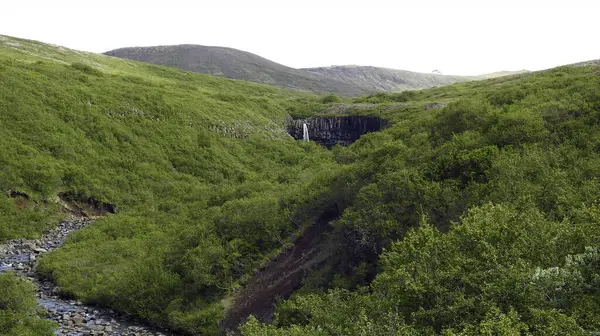 Svartifoss瀑布 Skaftafell国家公园 与Vatnaj Kull国家公园接壤 — 图库照片