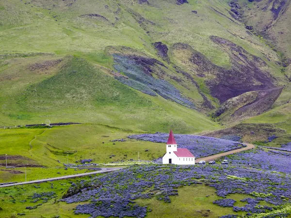 Vik Myrdal Church Lupine Flowers Iceland — Stock Photo, Image
