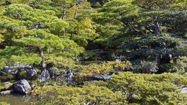 Ginjakuji Bahçesi, Kyoto Honshu Adası - Japonya