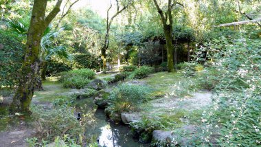 Heian Garden, Kyoto Honshu Adası - Japonya