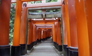 Fushimi Inari Tapınağı, Kyoto, Honshu Adası - Japonya