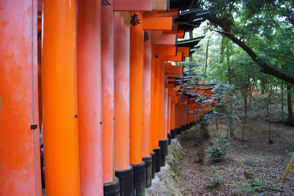 Santuario Fushimi Inari Kioto Isla Honshu Japón — Foto de Stock