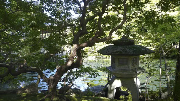 Tenjuan Garden Isla Kyoto Honshu Japón — Foto de Stock