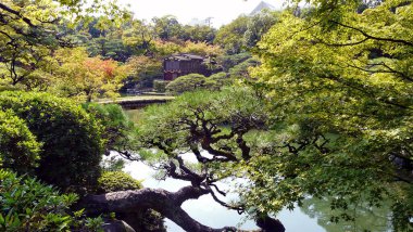 Kobe, Honshu Adası 'nda sonbahar - Japonya