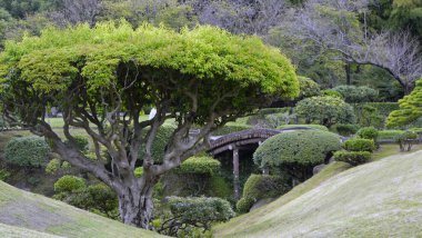 Suizenji Jojuen Bahçesi, Kumamoto, Honshu Adası - Japonya