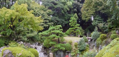Nagoya Kalesi 'ndeki bahçeler, Aichi, Honshu Adası - Japonya