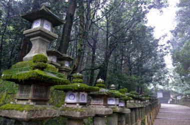 Kasuga Taisha Tapınağı, Nara, Honshu Adası - Japonya