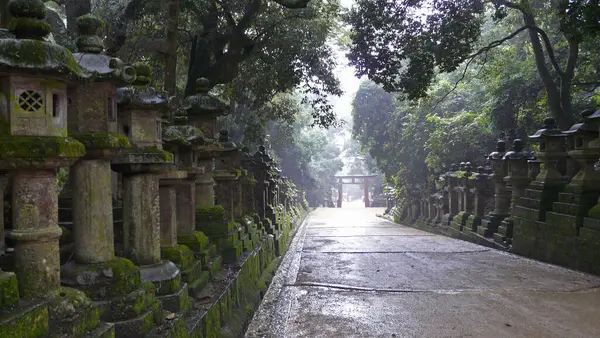 Kasuga Taisha Shrine Nara Honshu Island Japón — Foto de Stock