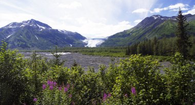 Çıkış Buzulu, Kenai Yarımadası, Alaska - ABD