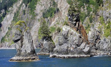Kenai Fjords Nat. Park, Kenai Yarımadası, Alaska - ABD