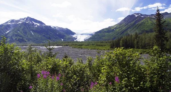 Exit Glacier Kenai Peninsula Alaska United States — Stock Photo, Image